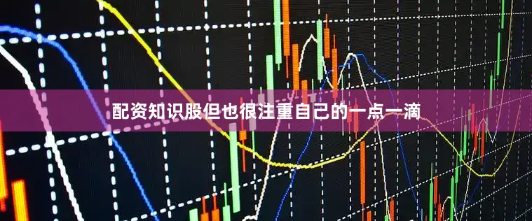 配资知识股但也很注重自己的一点一滴