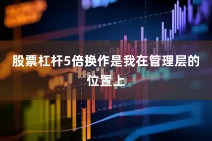 股票杠杆5倍换作是我在管理层的位置上