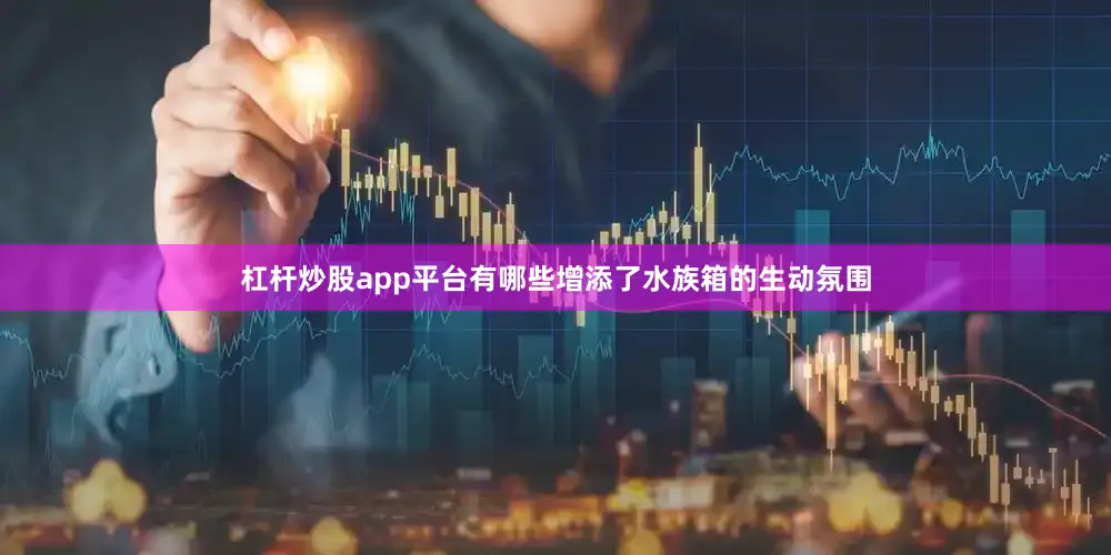 杠杆炒股app平台有哪些增添了水族箱的生动氛围