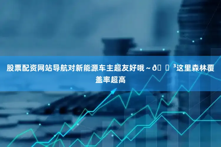 股票配资网站导航对新能源车主超友好哦～🌳这里森林覆盖率超高