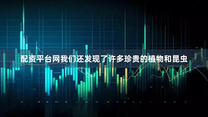 配资平台网我们还发现了许多珍贵的植物和昆虫